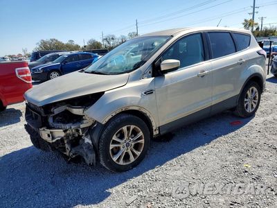 2017 FORD ESCAPE SE 1FMCU0GDXHUC30865 - główne zdjęcie licytacji z USA - miniatura