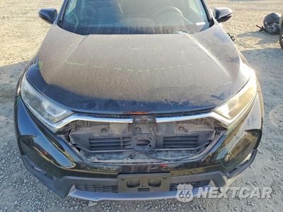 Zdjęcie 12 z 13 samochodu: 2018 HONDA CR-V EX VIN:5J6RW1H52JA008084 - miniatura