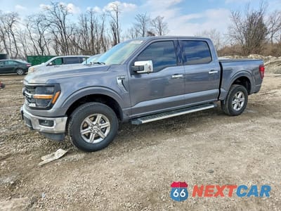 2024 FORD F150 XLT 1FTFW3L81RKF72997 - główne zdjęcie licytacji z USA - miniatura
