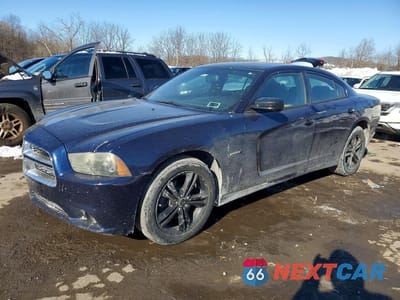 2014 DODGE CHARGER 2C3CDXDT9EH114794 - główne zdjęcie licytacji z USA - miniatura