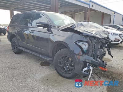 Czwarte zdjęcie samochodu z boku: 2023 FORD EXPEDITION TIMBERLINE VIN:1FMJU1RG9PEA64058 - miniatura