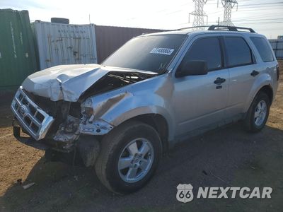 2011 FORD ESCAPE XLT 1FMCU0D71BKB01771 - główne zdjęcie licytacji z USA - miniatura