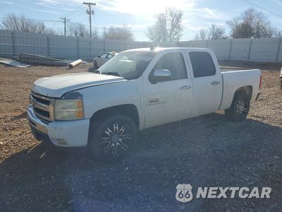 2009 CHEVROLET SILVERADO C1500 LT 3GCEC23069G164530 - główne zdjęcie licytacji z USA - miniatura