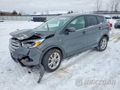 2019 FORD ESCAPE SE 1FMCU9GD8KUA39859 - główne zdjęcie licytacji z USA - miniatura