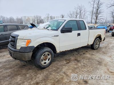2013 FORD F150 SUPER CAB 1FTFX1CF8DFB76759 - główne zdjęcie licytacji z USA - miniatura