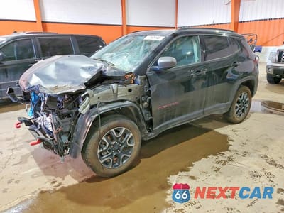 2019 JEEP COMPASS TRAILHAWK 3C4NJDDB3KT645723 - główne zdjęcie licytacji z USA - miniatura