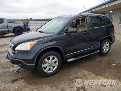 2008 HONDA CR-V EXL JHLRE387X8C024122 - główne zdjęcie licytacji z USA - miniatura