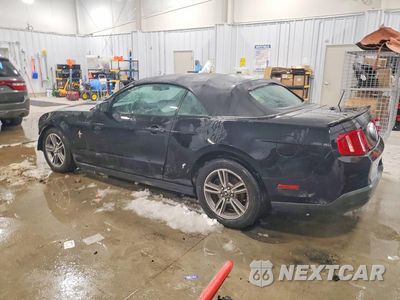 Drugie zdjęcie samochodu z przodu: 2010 FORD MUSTANG VIN:1ZVBP8EN7A5178612 - miniatura