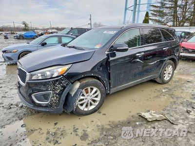 2016 KIA SORENTO LX 5XYPG4A35GG116311 - główne zdjęcie licytacji z USA - miniatura