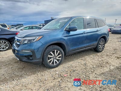 2019 HONDA PILOT EXL 5FNYF6H53KB027377 - główne zdjęcie licytacji z USA - miniatura