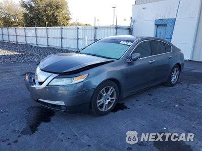 2009 ACURA TL 19UUA86529A017181 - główne zdjęcie licytacji z USA - miniatura