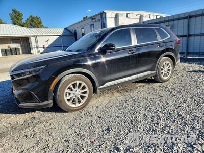 2025 HONDA CR-V EXL 2HKRS4H70SH487863 - główne zdjęcie licytacji z USA - miniatura