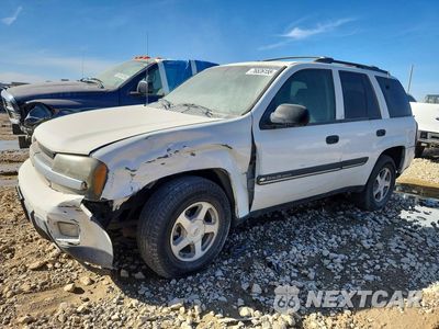 2002 CHEVROLET TRAILBLAZR 1GNDT13S922181772 - główne zdjęcie licytacji z USA - miniatura