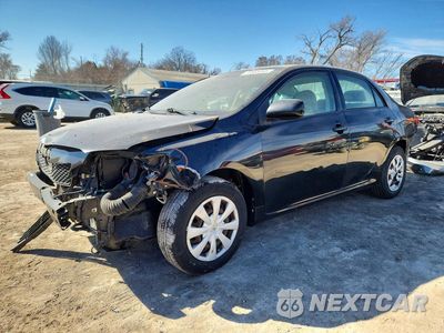 2009 TOYOTA COROLLA LE 1NXBU40E49Z046075 - główne zdjęcie licytacji z USA - miniatura