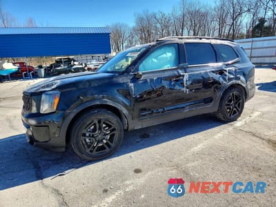 2025 KIA TELLURIDE EX X-LINE 5XYP3DGC2SG570236 - główne zdjęcie licytacji z USA - miniatura