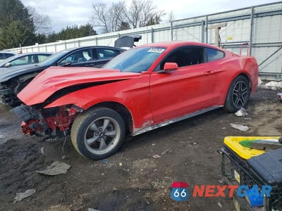 2017 FORD MUSTANG 1FA6P8AM7H5346380 - główne zdjęcie licytacji z USA - miniatura