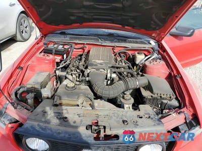 Zdjęcie 11 z 11 samochodu: 2008 FORD MUSTANG GT VIN:1ZVHT82H985198651 - miniatura