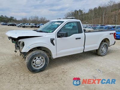2021 FORD F150 1FTMF1EB2MKD73826 - główne zdjęcie licytacji z USA - miniatura