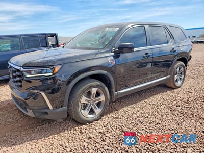 2024 HONDA PILOT EXL 5FNYG2H41RB003604 - główne zdjęcie licytacji z USA - miniatura
