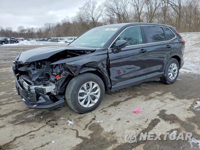 2025 HONDA CR-V LX 2HKRS4H28SH477134 - główne zdjęcie licytacji z USA - miniatura