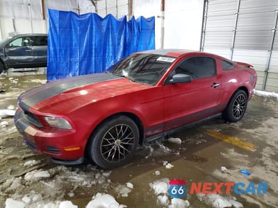 2010 FORD MUSTANG 1ZVBP8AN8A5140652 - główne zdjęcie licytacji z USA - miniatura