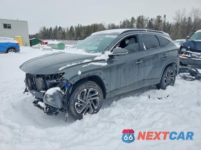 2025 HYUNDAI TUCSON SEL CONVENIENCE KM8JCDD14SU397063 - główne zdjęcie licytacji z USA - miniatura