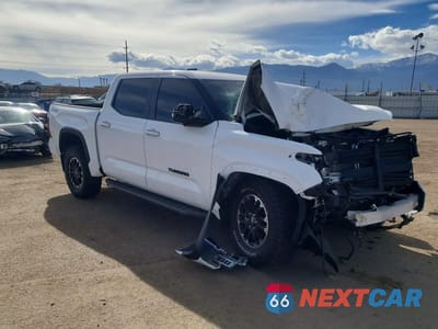 Czwarte zdjęcie samochodu z boku: 2025 TOYOTA TUNDRA SR5 VIN:5TFLA5DB8SX244217 - miniatura
