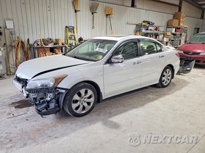 2010 HONDA ACCORD EXL 5KBCP3F8XAB005475 - główne zdjęcie licytacji z USA - miniatura
