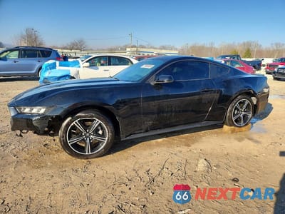 2024 FORD MUSTANG 1FA6P8TH5R5105337 - główne zdjęcie licytacji z USA - miniatura