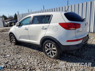 Drugie zdjęcie samochodu z przodu: 2016 KIA SPORTAGE LX VIN:KNDPBCAC2G7820049 - miniatura
