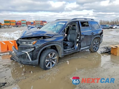 2025 HONDA PILOT ELITE 5FNYG1H8XSB044168 - główne zdjęcie licytacji z USA - miniatura