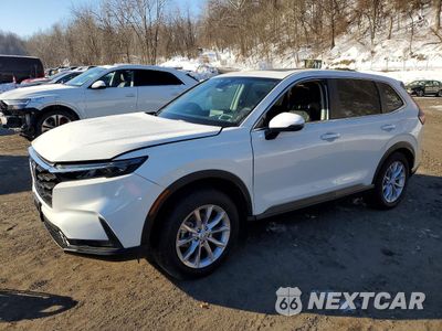 2025 HONDA CR-V EX 2HKRS4H41SH422221 - główne zdjęcie licytacji z USA - miniatura