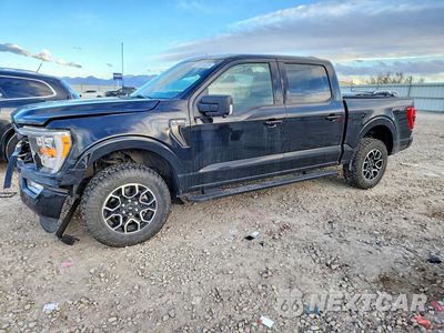 2022 FORD F150 SUPERCREW 1FTEW1EP7NFA09136 - główne zdjęcie licytacji z USA - miniatura