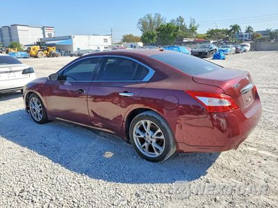 Drugie zdjęcie samochodu z przodu: 2010 NISSAN MAXIMA S VIN:1N4AA5AP6AC851557 - miniatura