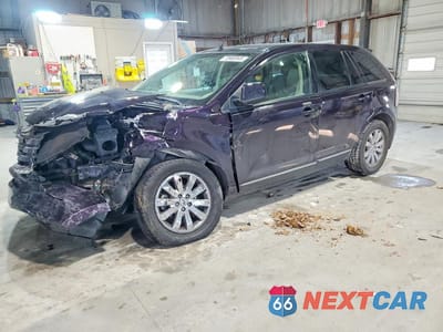 2007 FORD EDGE SEL PLUS 2FMDK49C27BB32827 - główne zdjęcie licytacji z USA - miniatura