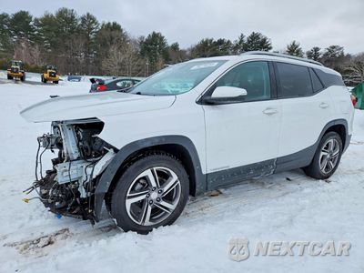 2019 GMC TERRAIN SLT 3GKALPEV5KL237389 - główne zdjęcie licytacji z USA - miniatura