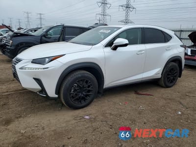 2021 LEXUS NX 300H BASE JTJDJRDZ4M5011892 - główne zdjęcie licytacji z USA - miniatura