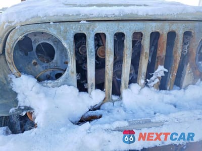 Zdjęcie 12 z 12 samochodu: 2006 JEEP WRANGLER / TJ UNLIMITED VIN:1J4FA44S56P730099 - miniatura