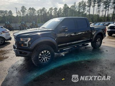 2019 FORD F150 RAPTOR 1FTFW1RG2KFT15765 - główne zdjęcie licytacji z USA - miniatura