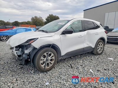 2024 FORD ESCAPE ACTIVE 1FMCU0GN6RUB28389 - główne zdjęcie licytacji z USA - miniatura