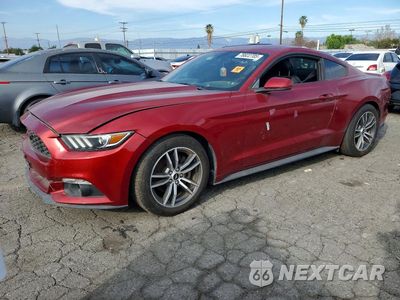 2016 FORD MUSTANG 1FA6P8TH1G5279421 - główne zdjęcie licytacji z USA - miniatura
