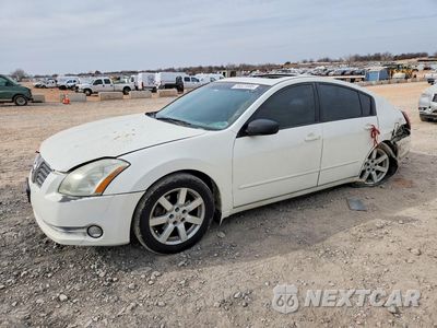 2004 NISSAN MAXIMA SE/ 1N4BA41E94C929363 - główne zdjęcie licytacji z USA - miniatura