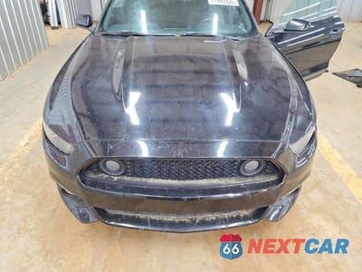 Zdjęcie 11 z 11 samochodu: 2015 FORD MUSTANG VIN:1FA6P8TH1F5395572 - miniatura