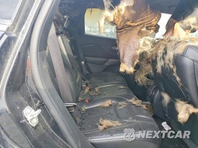 Zdjęcie 11 z 12 samochodu: 2020 JEEP CHEROKEE LIMITED VIN:1C4PJMDX6LD632296 - miniatura