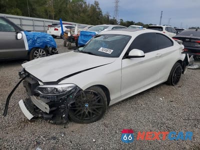 2019 BMW 230I WBA2J1C54KVD10001 - główne zdjęcie licytacji z USA - miniatura