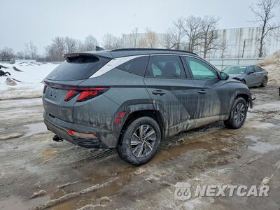Trzecie zdjęcie samochodu z tyłu: 2024 HYUNDAI TUCSON BLUE VIN:KM8JBCD1XRU206379 - miniatura