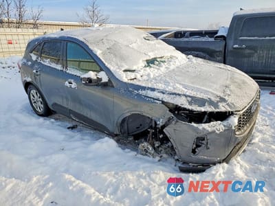 Czwarte zdjęcie samochodu z boku: 2025 FORD ESCAPE ACTIVE VIN:1FMCU9GN4SUA15566 - miniatura