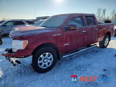 2013 FORD F150 SUPERCREW 1FTFW1ET1DFC74280 - główne zdjęcie licytacji z USA - miniatura