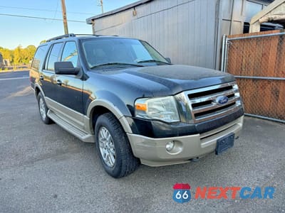 2010 FORD EXPEDITION EDDIE BAUER 1FMJU1J58AEB58207 - główne zdjęcie licytacji z USA - miniatura