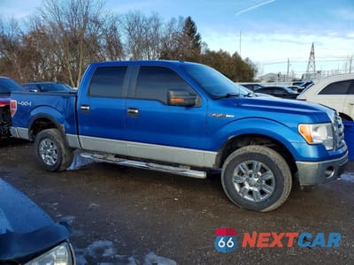 Czwarte zdjęcie samochodu z boku: 2009 FORD F150 SUPERCREW VIN:1FTPW14VX9FA77106 - miniatura